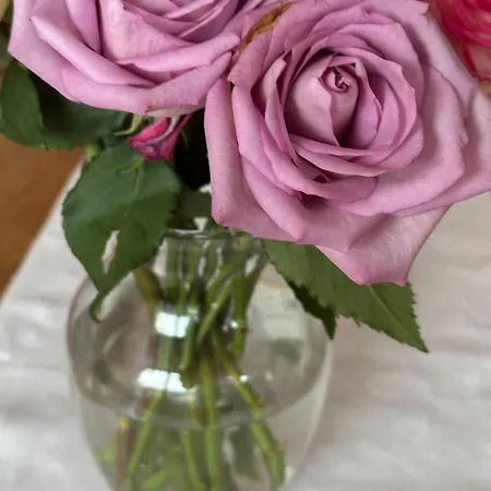 Nordstrands Ro アパート *