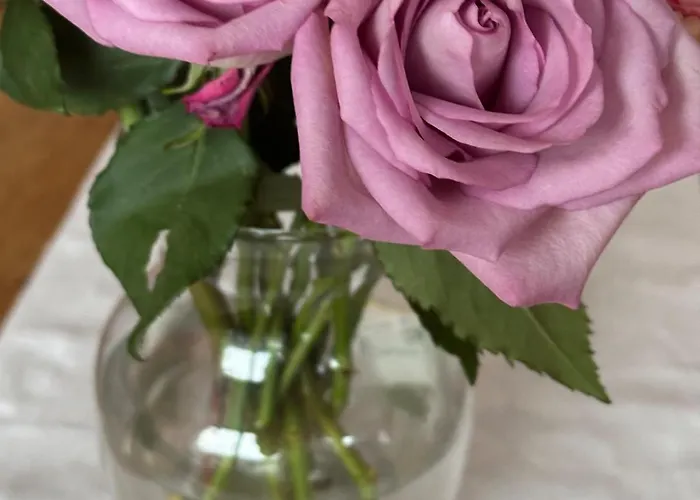 Nordstrands Ro Appartement *