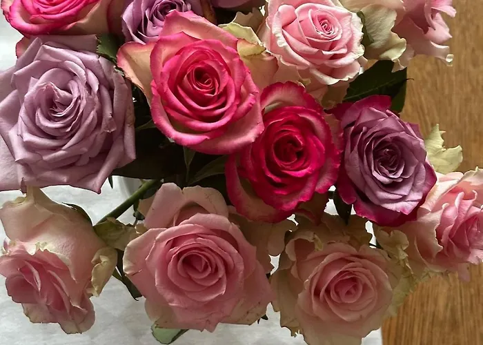 Appartement Nordstrands Ro *