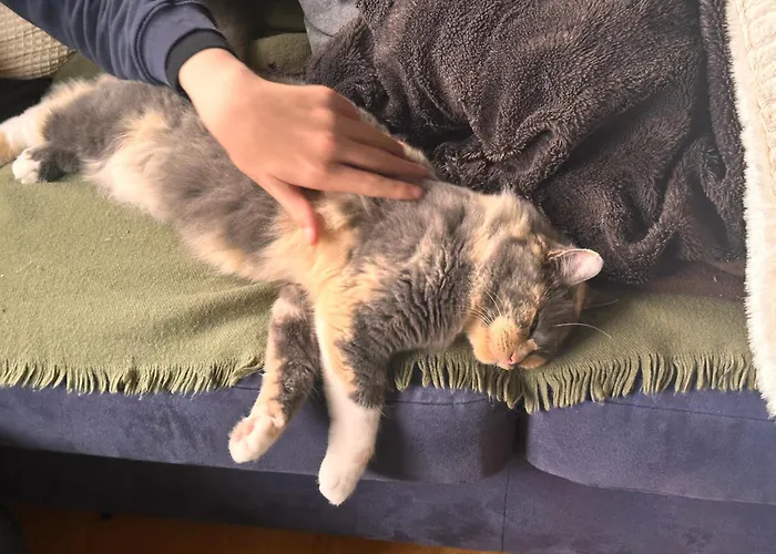 Nordstrands Ro * Oslo