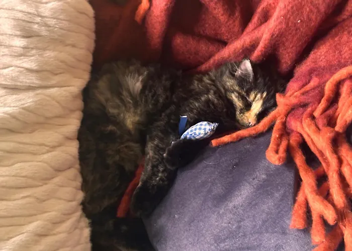 Nordstrands Ro Appartement Oslo