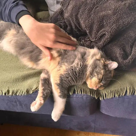 Nordstrands Ro * Oslo