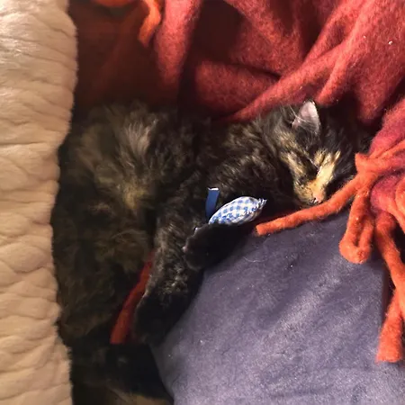 Nordstrands Ro Apartament Oslo